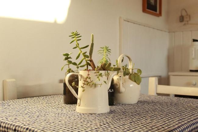 Alma De Proa Bed & Breakfast San Antonio de Areco Buitenkant foto